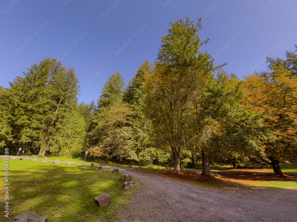 Early Autumn Foliage Pacific Northwest Washington USA Early Autumn Foliage Pacific Northwest Washington USA