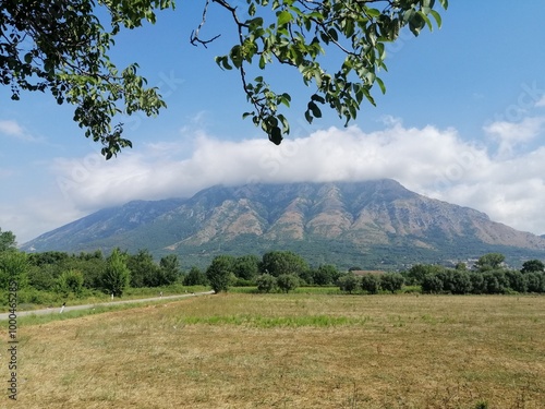 Taburno montagna foschia alberi foglie appennino campania via francigena photo