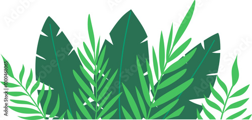 Greenery tropical leaves decoration