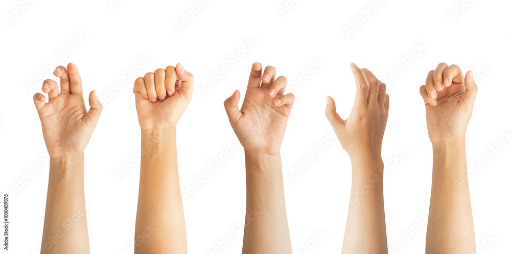Collection of female hand gestures with isolated background Collection of female hand gestures with isolated background