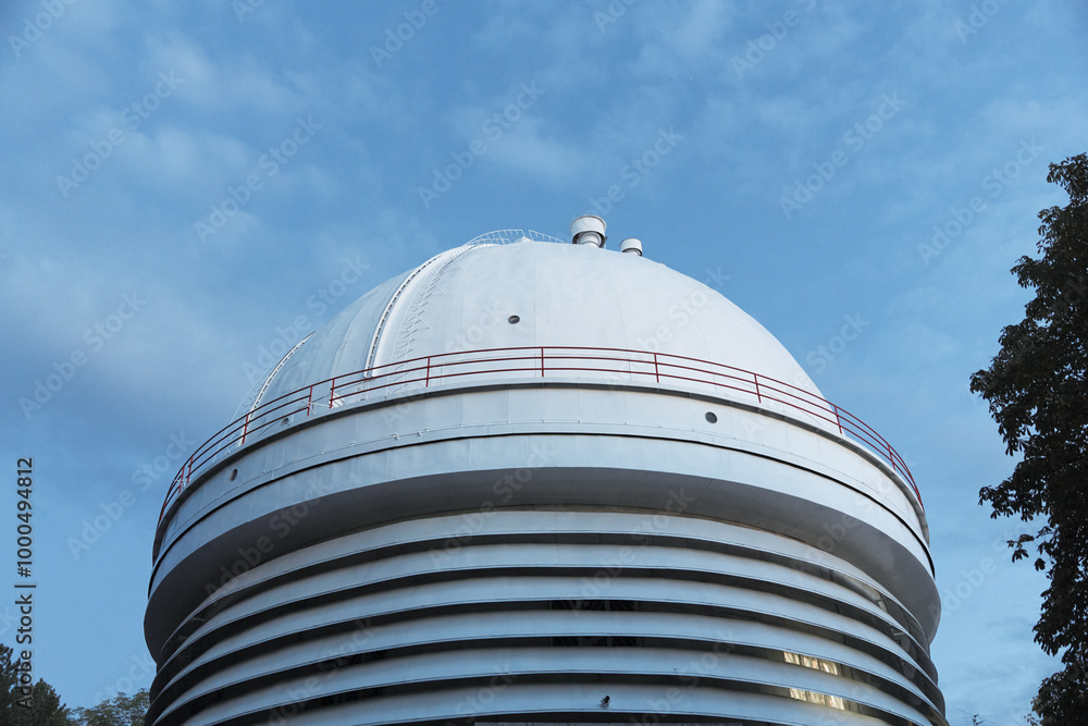 Fototapeta premium Modern architectural design featuring a striking white dome atop a building with a tree standing gracefully in the foreground