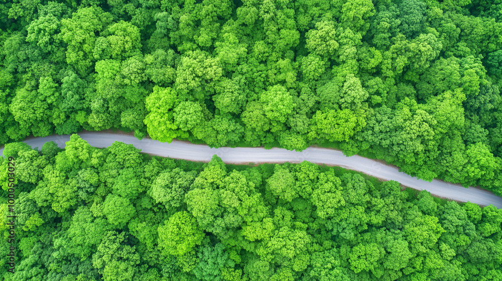 Aerial shot of a winding road cutting through a lush, dense green forest, highlighting the vibrant natural landscape from above Aerial shot of a winding road cutting through a lush, dense green forest, highlighting the vibrant natural landscape from above