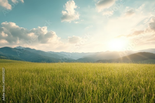 Expansive Scenic Landscape with Lush Green Fields and Majestic Mountains Under a Calm Sky