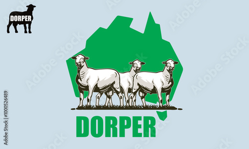 healthy and happy dorper sheep poster, image of best ram farm vector illustrations