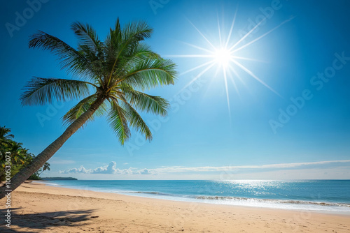 Sunny beach with palm trees under clear blue sky, calm waters and sandy shore, capturing the beauty of summer in an exotic tropical location with a lone coconut tree swaying in the breeze.