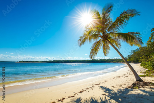 Sunny beach with palm trees under clear blue sky, calm waters and sandy shore, capturing the beauty of summer in an exotic tropical location with a lone coconut tree swaying in the breeze.