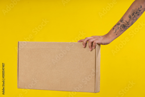 Young woman doing parcel delivery service and holding cardboard boxes photo