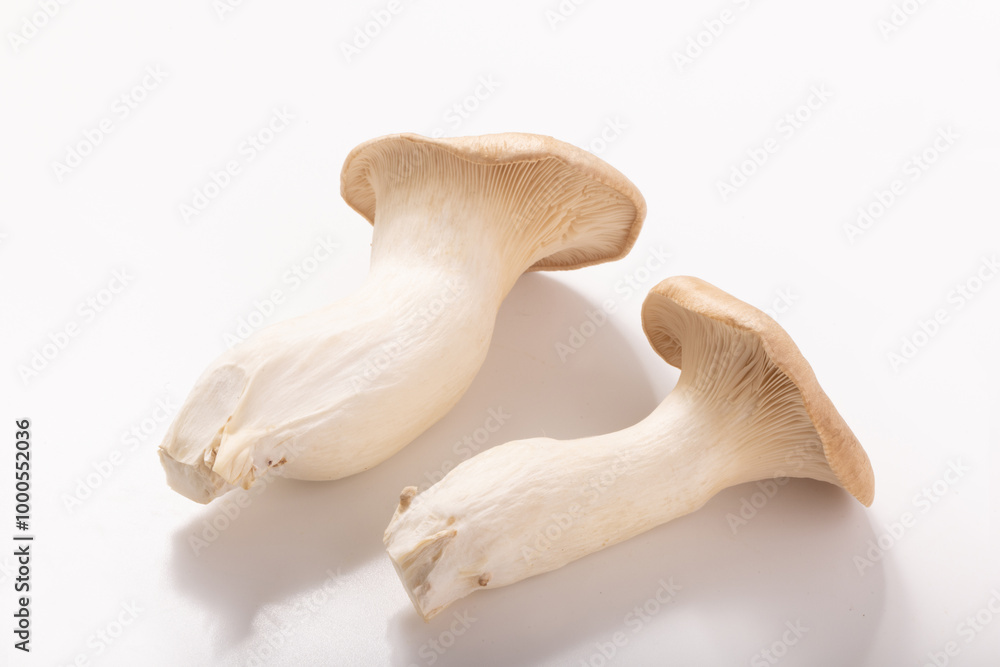 Fototapeta premium エリンギ