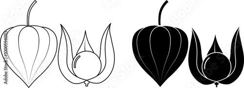 outline silhouette Physalis fruit icon set