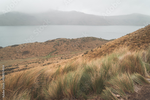 tall native grasses grow on a hillside overlooking a melted glacial crater lake on a foggy misty rainy day high up in the mountain range landscape