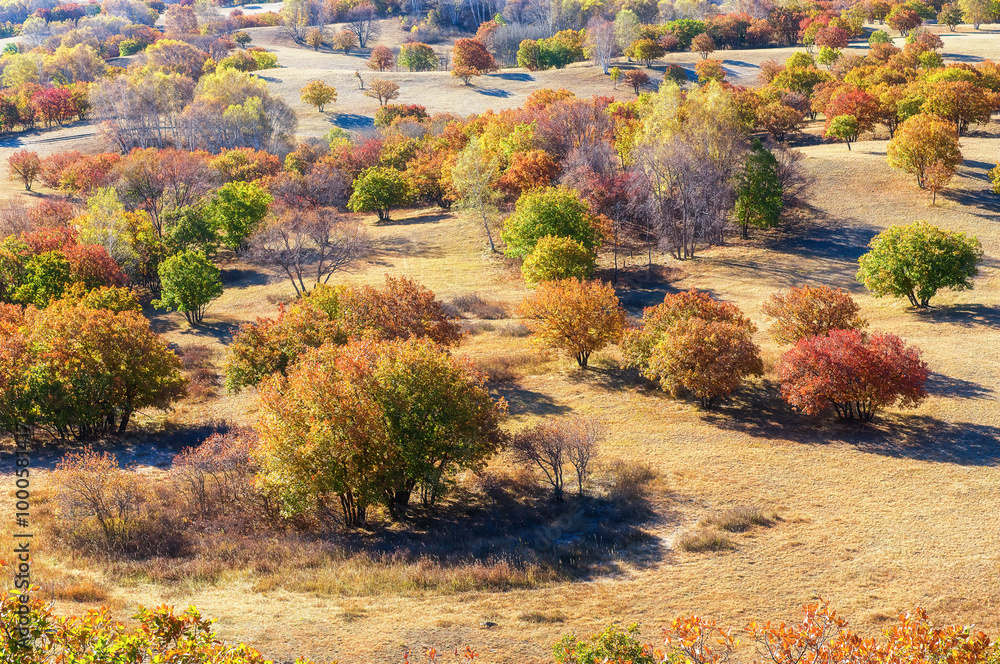 Autumn scenery of South well, Wulan Butong Township, Hexigten Banner, Chifeng City, Inner Mongolia Autonomous Region, China Autumn scenery of South well, Wulan Butong Township, Hexigten Banner, Chifeng City, Inner Mongolia Autonomous Region, China