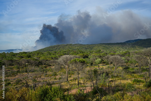 Wildfire in the Massifs des Maures, South of France