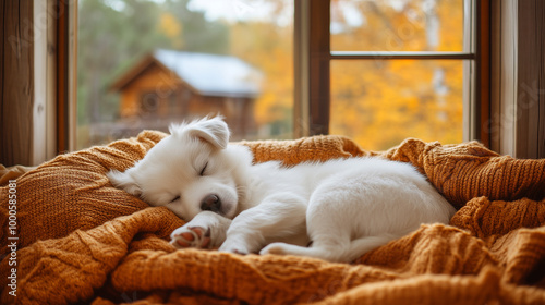 A fairytale romantic fall background. Baby white puppy sleeping wrapped in blanket in cozy cabin, trees with fall foliage outside the window. Warm and soft color. 
