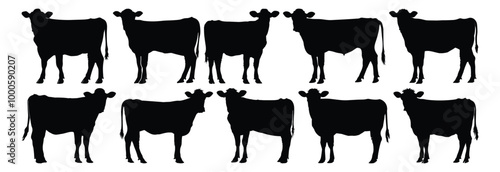 Cow silhouettes set, animal pack of vector silhouette design, isolated background