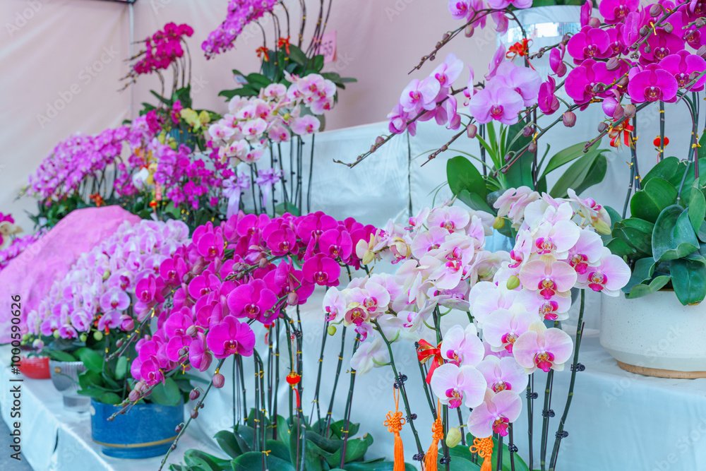 Flowers at the Flower Market Flowers at the Flower Market