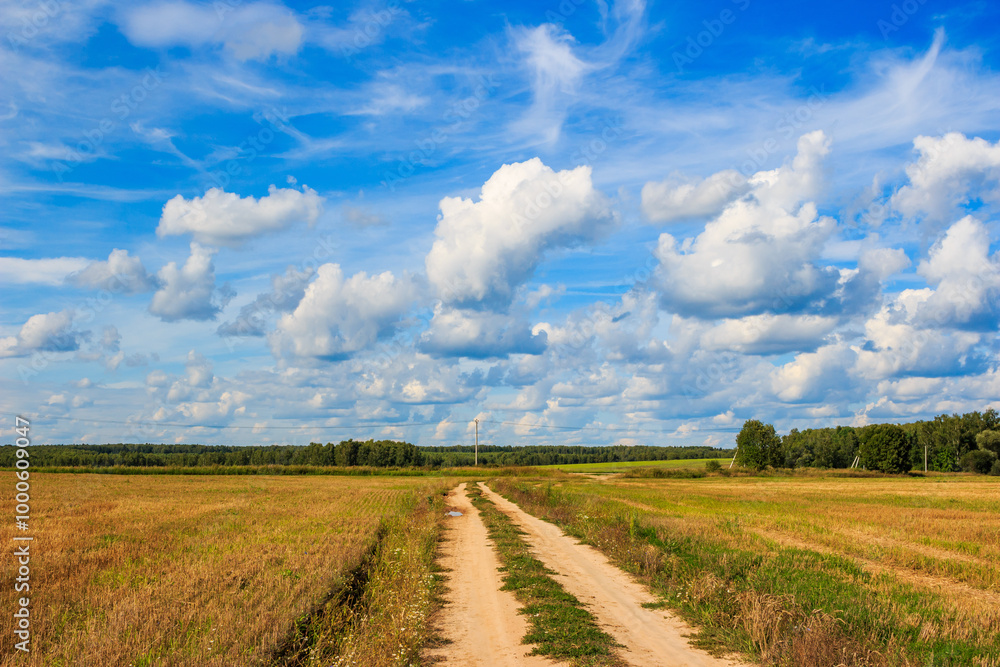 Landscape with a country road running among fields against a beautiful sky
