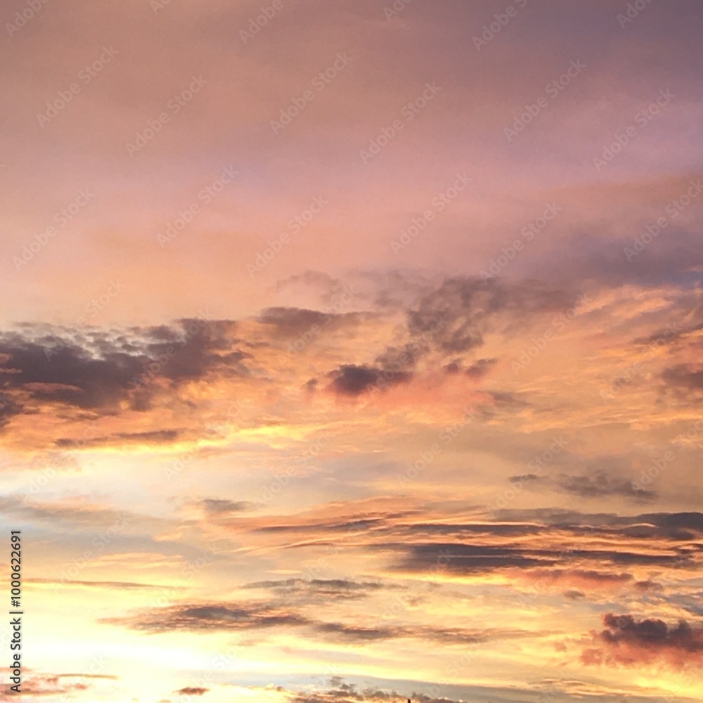 Fototapeta premium sunset over the sea