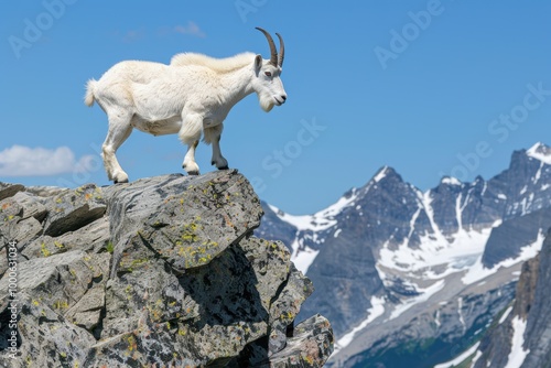 Majestic Mountain Goat on Steep Cliff with Snow-Capped Peaks, Perfect for Nature and Wildlife Posters