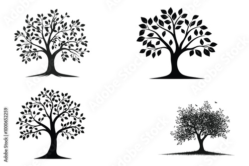 various deciduous trees silhouettes on the white background