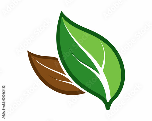 Tea leaf vector art on a white background