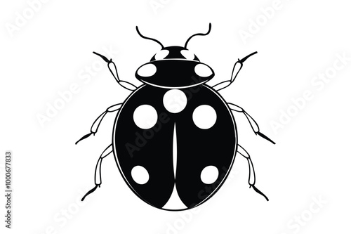 ladybug silhouette vector illustration Transparent White Background