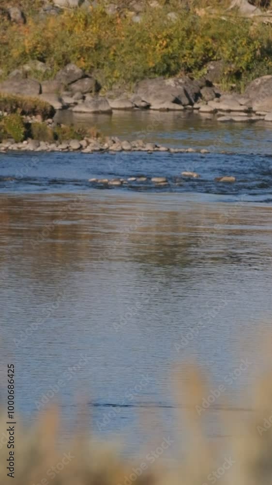 Flowing blue water in a creek surrounded by rocks and golden veggitation Flowing blue water in a creek surrounded by rocks and golden veggitation