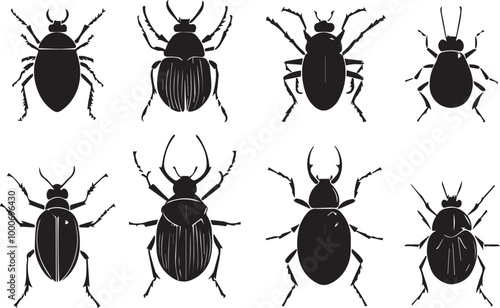 set of silhouettes of insects on white background