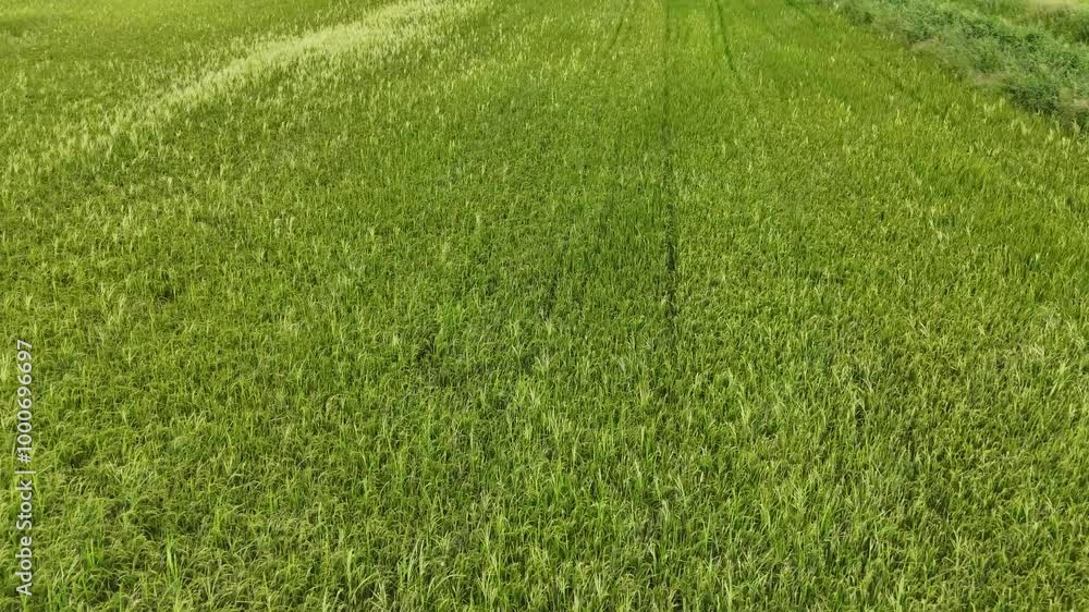 Aerial photography drone countryside agriculture and fores Aerial photography drone countryside agriculture and fores