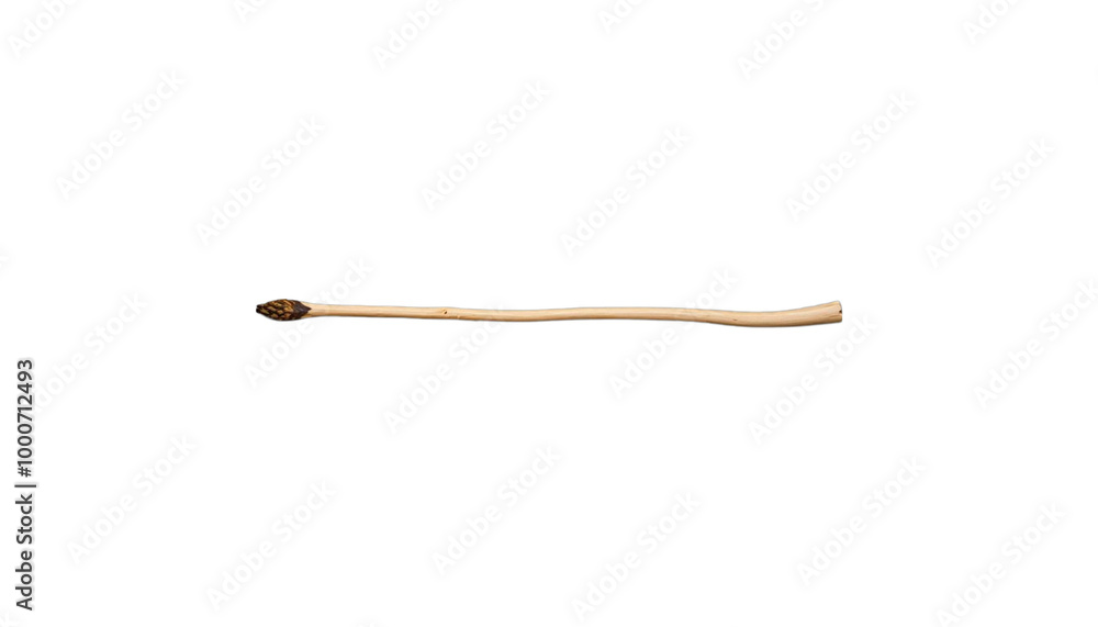 TRANSPARENT PNG ULTRA HD 8K Wooden Stick – Natural Branch, Leafy, Twisted, Smooth Stick with Knots and Variations, Ideal for Design or Decoration TRANSPARENT PNG ULTRA HD 8K Wooden Stick – Natural Branch, Leafy, Twisted, Smooth Stick with Knots and Variations, Ideal for Design or Decoration
