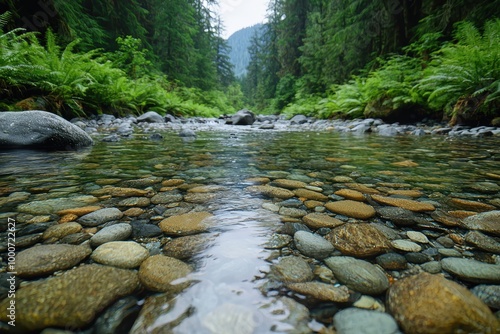 Wallpaper Mural serene forest stream with mossy rocks and lush greenery Torontodigital.ca