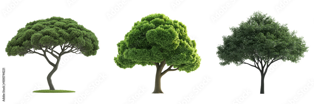 Three Green Trees isolated on transparent background. Three Green Trees isolated on transparent background.