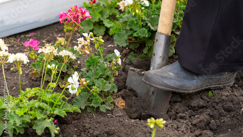 Foto A person is digging in the dirt with a shovel