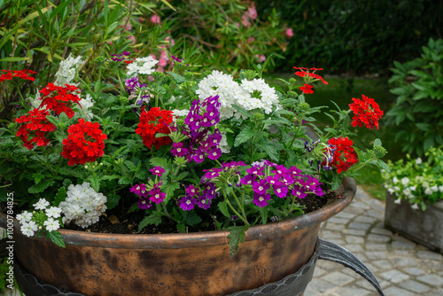 Coloful verbena flowers in a large copper planter