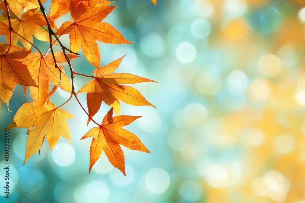 Close-up of autumn leaves with blurred background. Close-up of autumn leaves with blurred background.