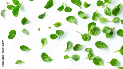 Fresh Green Leaves on White Background Generative AI