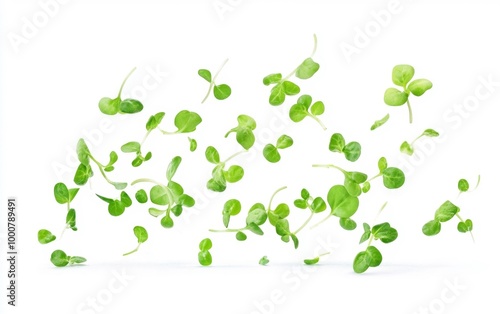 Green Microgreens Isolated on White Generative AI