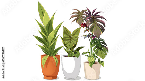 plant in a pot png