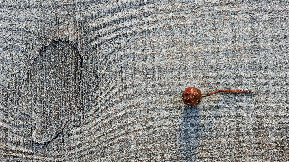 Close up of old wooden board covered with frost