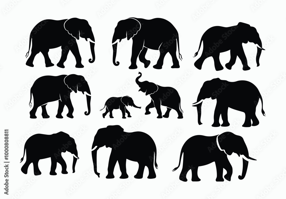 Fototapeta premium Elegant African Elephant Silhouette EPS Vector File Movement on a White Background