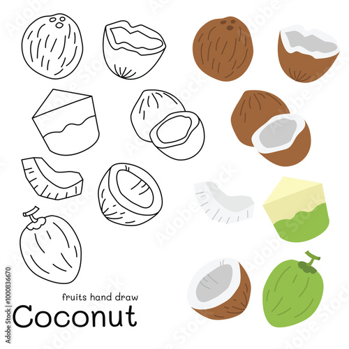 Coconut doodle hand drawn outline and colors for kid, Package, labels Design element. Vector illustration