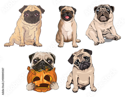 Cute Hand-Drawn Pug Dog Set – Vector Illustration of Adorable Pets