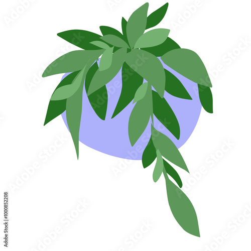 Houseplants flowerpots isolated icons vector illustration. Decorative home plants, botanical icons and stickers. Flower pots and kitchen herbs, hanging plants, floral decorations collection.