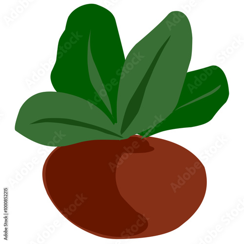 Houseplants flowerpots isolated icons vector illustration. Decorative home plants, botanical icons and stickers. Flower pots and kitchen herbs, hanging plants, floral decorations collection.