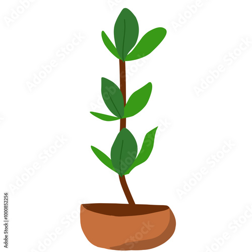 Houseplants flowerpots isolated icons vector illustration. Decorative home plants, botanical icons and stickers. Flower pots and kitchen herbs, hanging plants, floral decorations collection.