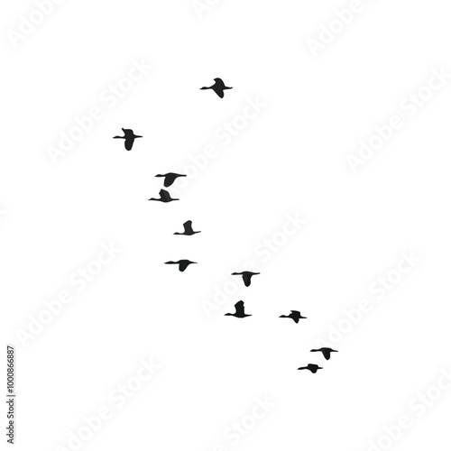 illustration vector flock of birds in flight