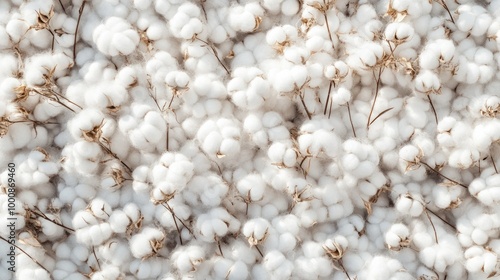 Wallpaper Mural Soft cotton plant texture captured in high detail, perfect for a calming wallpaper or design element background Torontodigital.ca