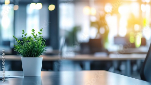 Modern Office Interior with Potted Plant