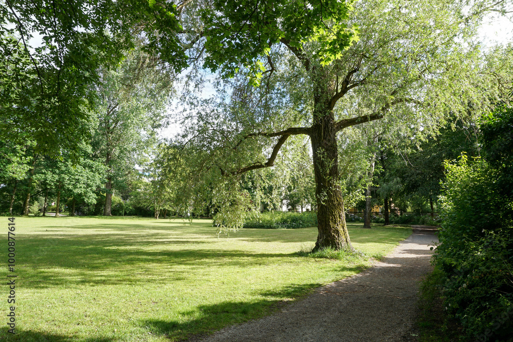 Obraz premium Hofgarten Bayreuth, Kleine Wiese im hinteren Bereich des Parks, Frühling, Grün, Tag