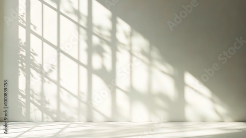 Light and Shadow Play on Wall