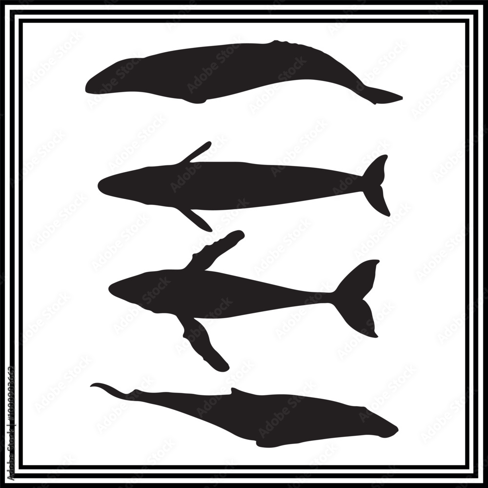 Whale silhouette illustration set, whale clipart Whale silhouette illustration set, whale clipart